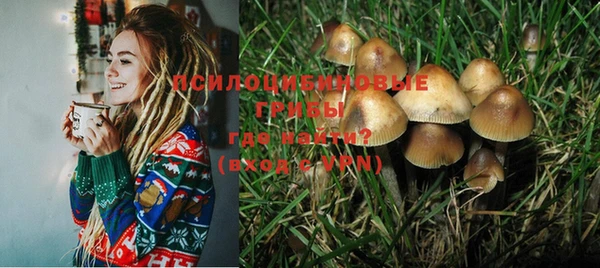амф Алзамай
