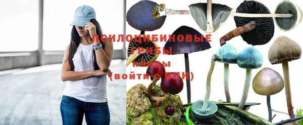 амф Алзамай