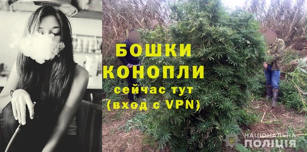 гидра Алексеевка
