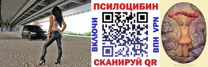 Псилоцибиновые грибы Psilocybine cubensis где купить наркоту Уяр