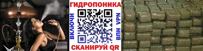Бошки Шишки Amnesia  mega   Уяр 